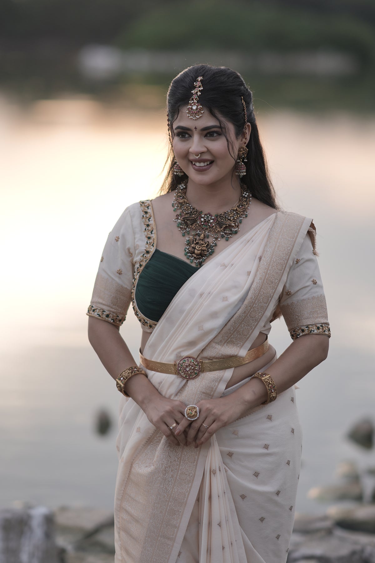 Banarasi Georgette Silk Saree